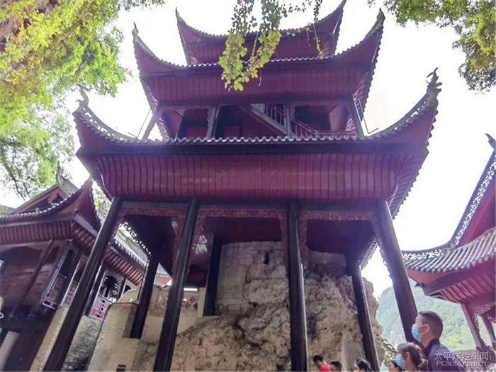 乡村振兴看区县 | 恩阳结出“黄金果” 果农收获“甜蜜经济”